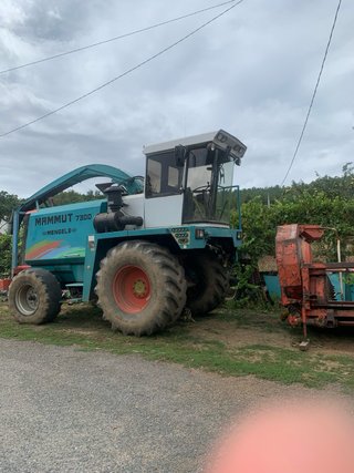 Picadora Mengele 7300