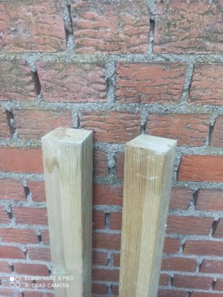Lote 13 vigas madera
