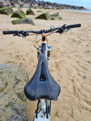Bicicleta Canyon Nerve AL+9.0