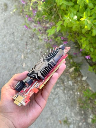 Tarjetas Gráficas ASUS y Gigabyte