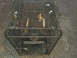 Jaula para pájaros negra