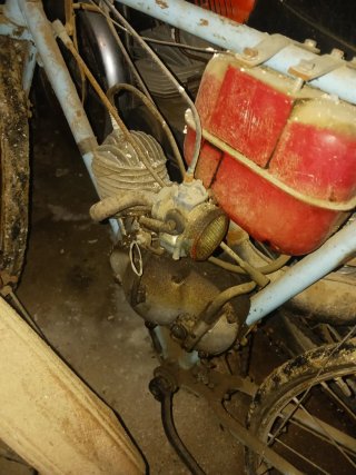 Bicicleta con motor Iresa