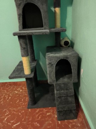 Árbol rascador para gatos