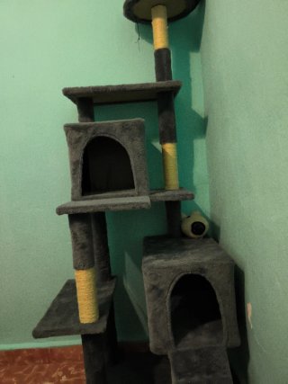 Árbol rascador para gatos