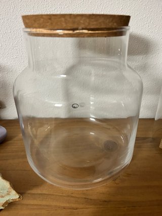 Terrario de cristal con tapa de corcho