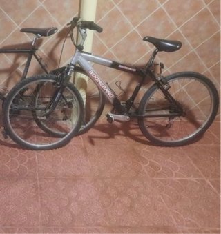 Bicicleta Montaña
