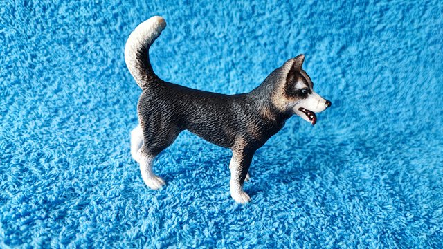 Husky Schleich