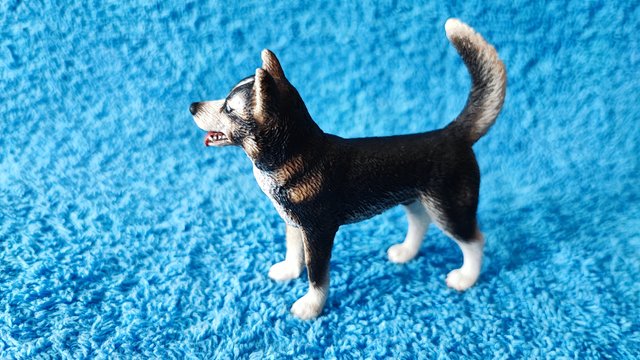 Husky Schleich