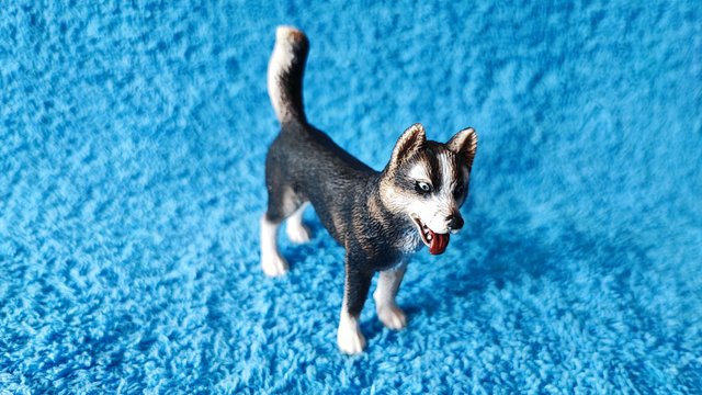 Husky Schleich