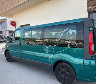 Renault Trafic 2007