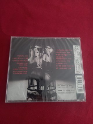 (Nuevo) CD P!NK – Try This