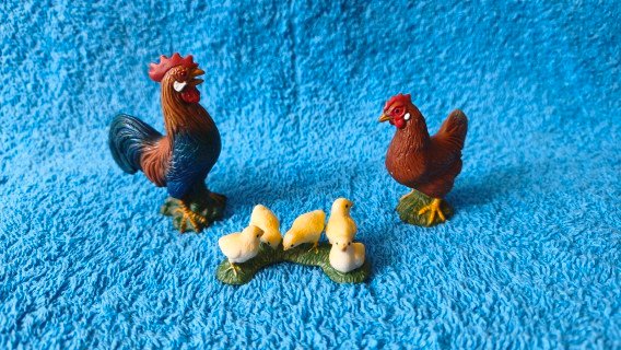 Familia de gallo, gallina y pollitos schleich