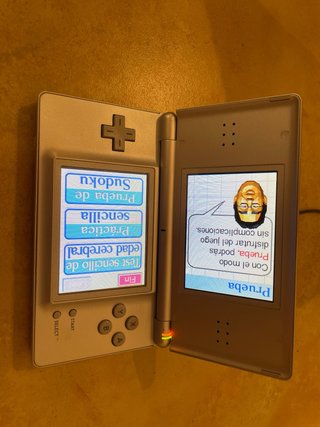Nintendo DS Plata