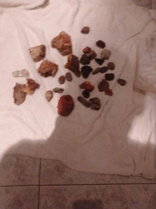 Raccolta di pietre marine