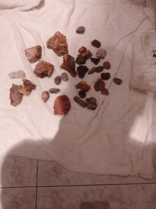 Raccolta di pietre marine