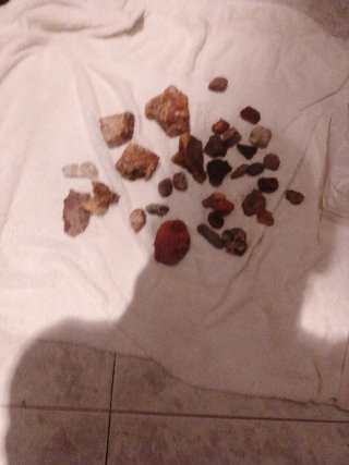 Raccolta di pietre marine