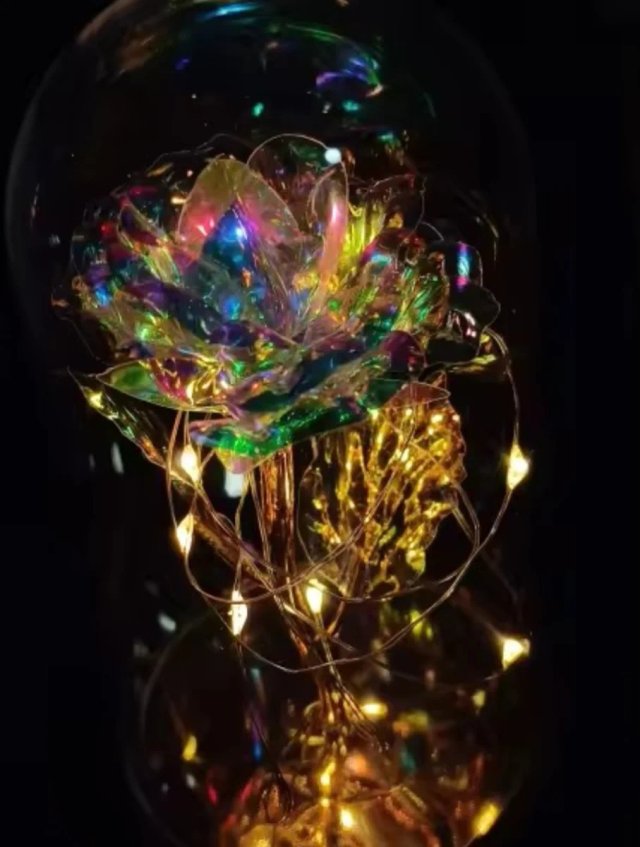 Rosa rosa con luci per regalo