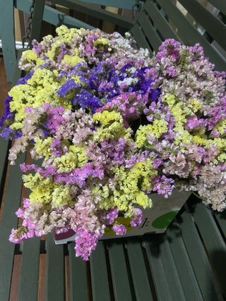 7 Ramos Flores Secas