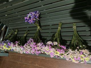 7 Ramos Flores Secas