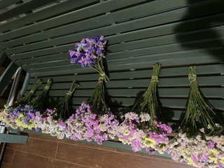 7 Ramos Flores Secas