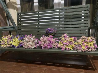 7 Ramos Flores Secas