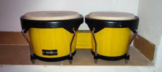 Bongos Gon Bops Amarillos