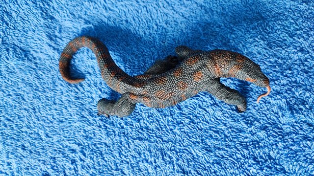 Dragón de Komodo