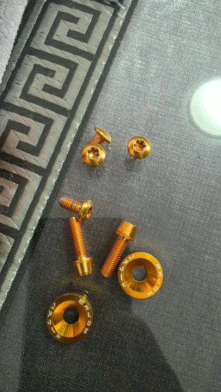 Tornillos y arandelas doradas