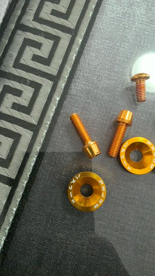 Tornillos y arandelas doradas