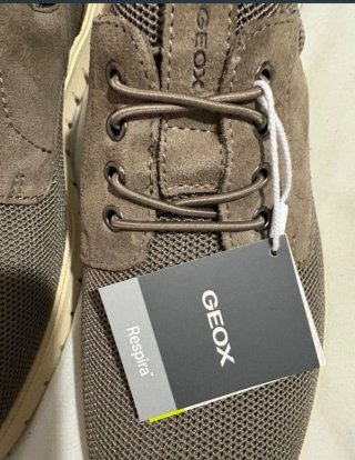 Zapatos Geox Hombre Marrones/Grises
