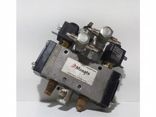MODULO ELECTRONICO D7E290 EURO 5 68066
