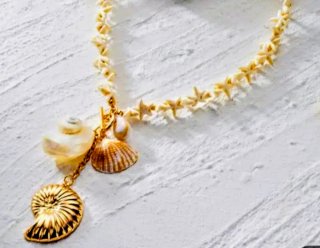 Collar de conchas y estrellas de mar