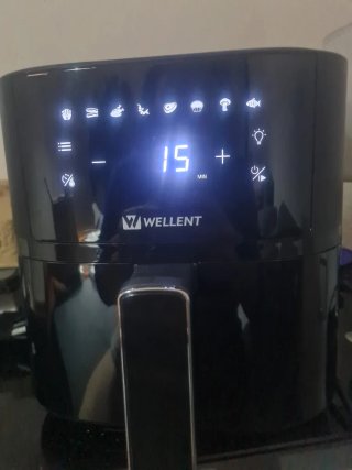 Friggitrice ad aria Wellent