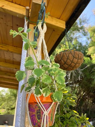 Colgante Macramé con Maceta Naranja incluye planti