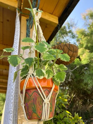 Colgante Macramé con Maceta Naranja incluye planti