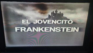VHS El Jovencito Frankenstein