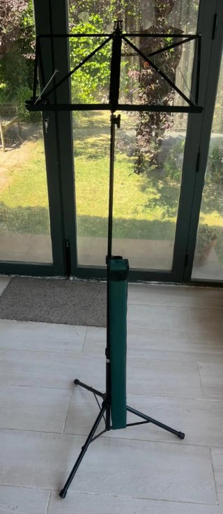 Violín clásico con accesorios