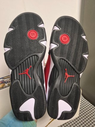 ZAPATILLAS JORDAN 14 RETRO