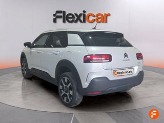 Citroën C4 Cactus PureTech 96kW (130CV) S&S Feel
