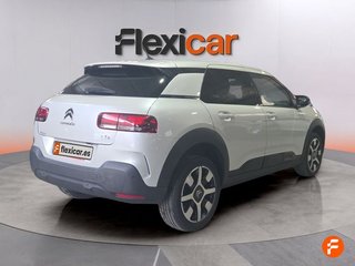 Citroën C4 Cactus PureTech 96kW (130CV) S&S Feel