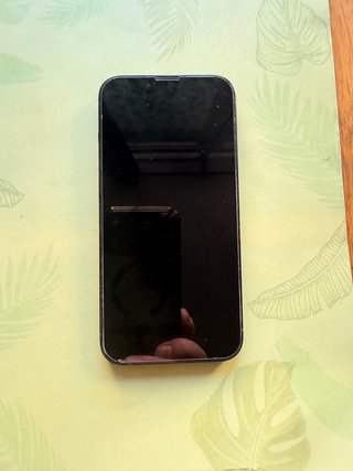 iPhone 13 128GB Verde
