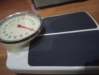 Báscula Terraillon Profesional Analógica
