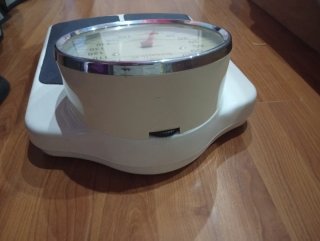 Báscula Terraillon Profesional Analógica