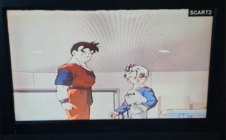 VHS Dragon Ball: Un Futuro Diferente Gohan y Trunk