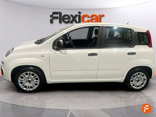 Fiat Panda Panda Hybrid 1.0 Gse 51kw (70CV)