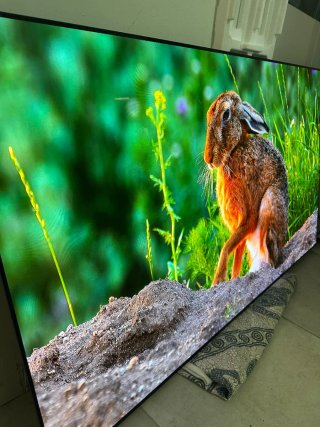 TV LG OLED evo 65C4 4K 2024
