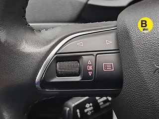 Audi Q3 Offroad edition 2.0 TDI quattro 103 kW (140 CV) S tronic