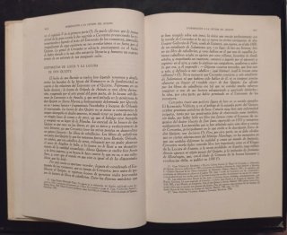 "El ingenioso hidalgo Don Quijote de la Mancha"