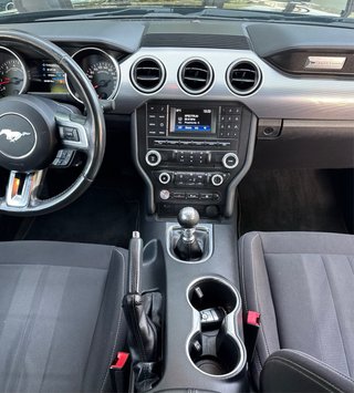 Ford Mustang 5.0 GT V8 cambio manual