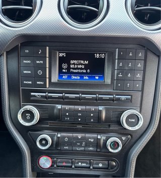 Ford Mustang 5.0 GT V8 cambio manual